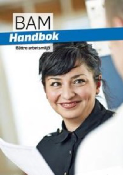 BAM handbok